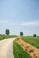 country road in the farmland5