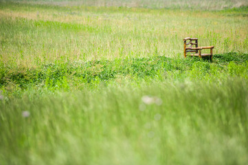 wooden bench on the field2