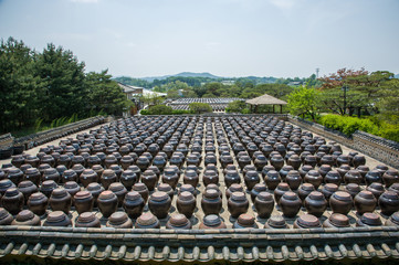 many korea crocks2