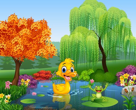 Cute ducks swimming on the pond and frog