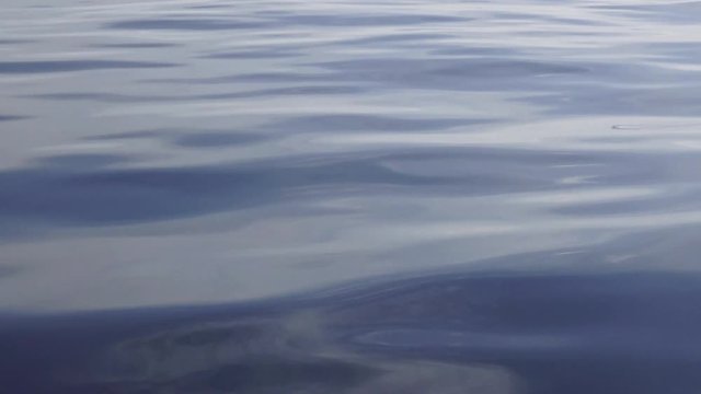 Liscio 이미지 찾아보기 2,039 스톡 사진, 벡터 및 비디오 Adobe Stock