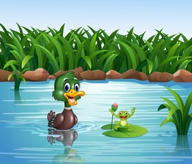 Fototapeta premium Cartoon duck with happy frog