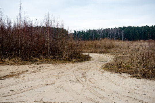 country road in forest