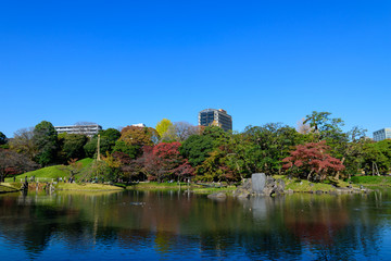 東京　小石川　秋の小石川後楽園