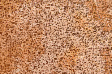 brown background hole in the surface of the wood