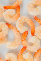 shrimps isolated on white background