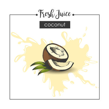Fresh coconut fruit juice splash. Sketch, engraving, hatching. Vector illustration 