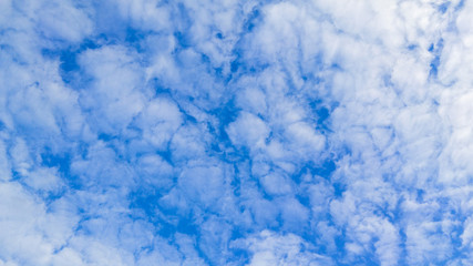 Fototapeta na wymiar blue Sky cloud