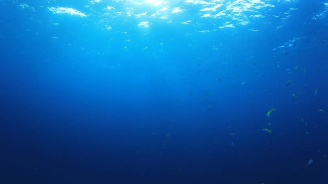 Underwater ocean clip with sunlight