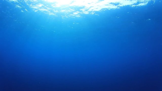 Underwater ocean clip with sunlight