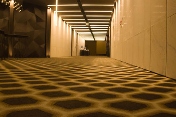 carpet floor in the modern office interior, close up on the floor 