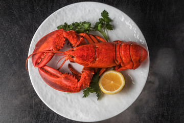 高級ロブスター　 High-quality lobster