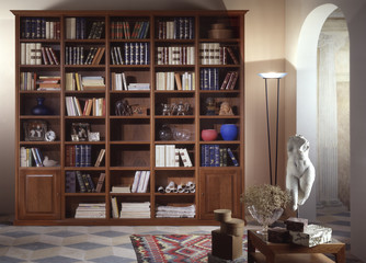 Ambiente con libreria