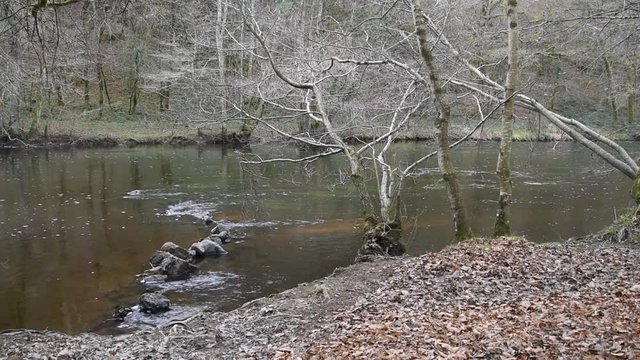 A river in the forest in the mountains of Morvan