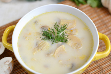 Delicious soup with cheese and mushrooms in a yellow plate