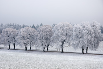 Fototapeta premium Winterlandschaft