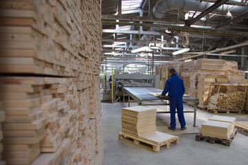 Naklejka na ściany i meble shop for wood processing