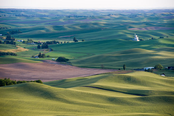rolling hills of Palouse