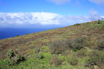 Fototapeta na wymiar Landscape on La Palma Island, Spain