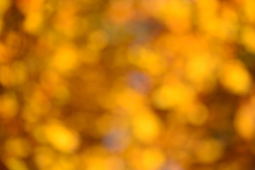 autumn bokeh background