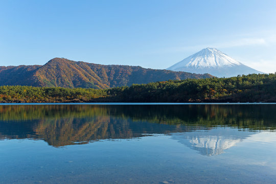 Saiko Lake and mount Fuji