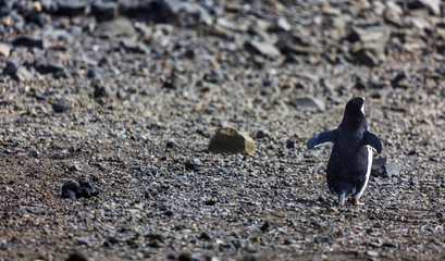 Deception Island © Bloody Orange