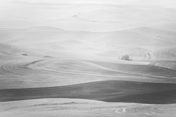 Palouse farmland