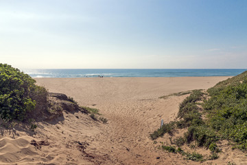 Dune Vegetation on Entrance to Beach