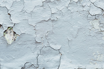 Obraz premium texture Close Up of Chipped blue peeling paint, covered with cru