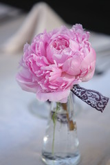 Romantic pink peony with lace bouquet