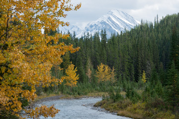 Spray River Trail, Banff NP