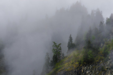 dichter nebel am berg