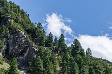hohe felsen und baeume am berg
