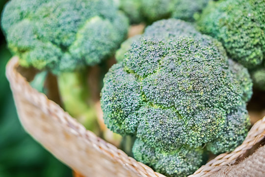 Group of fresh broccoli close up.