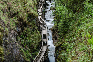 Fototapeta premium klamm mit wasser und stiegen