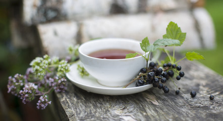 Tea with a currant and oregano