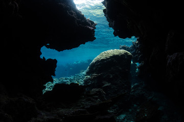 Underwater Grotto in Tropical Pacific