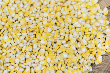Bulk of yellow corn grains texture