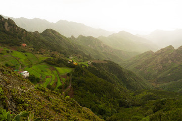 Road TF-12 in Anaga Rural Park - peaks with ancient forest on Tenerife