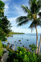 Ocean view along Lavena Costal Walk on Taveuni Island, Fiji