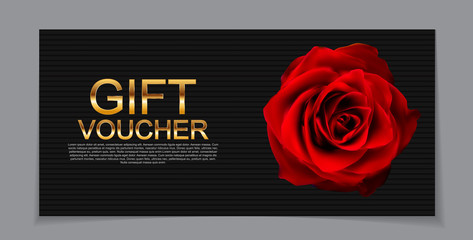 Gift Voucher Template for Discount Coupon  Vector Illustration