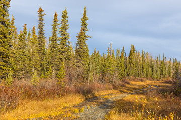 Warm morning. Fall in Alaska.