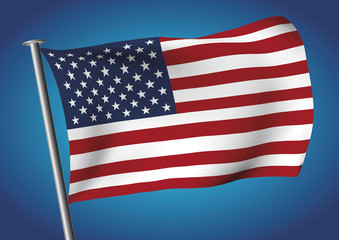 USA flag waving on the sky vector