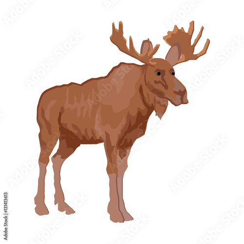 "elk" Stock photo and royalty-free images on Fotolia.com - Pic 131413613