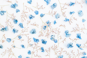 Fototapeta na wymiar Hydrangea flowers isolated on white background, Flat lay, Top view