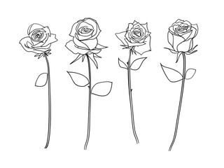 outlined hand drawn flower collection