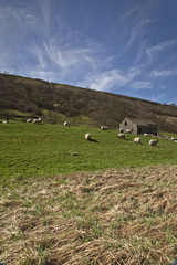 Swaledale Barn