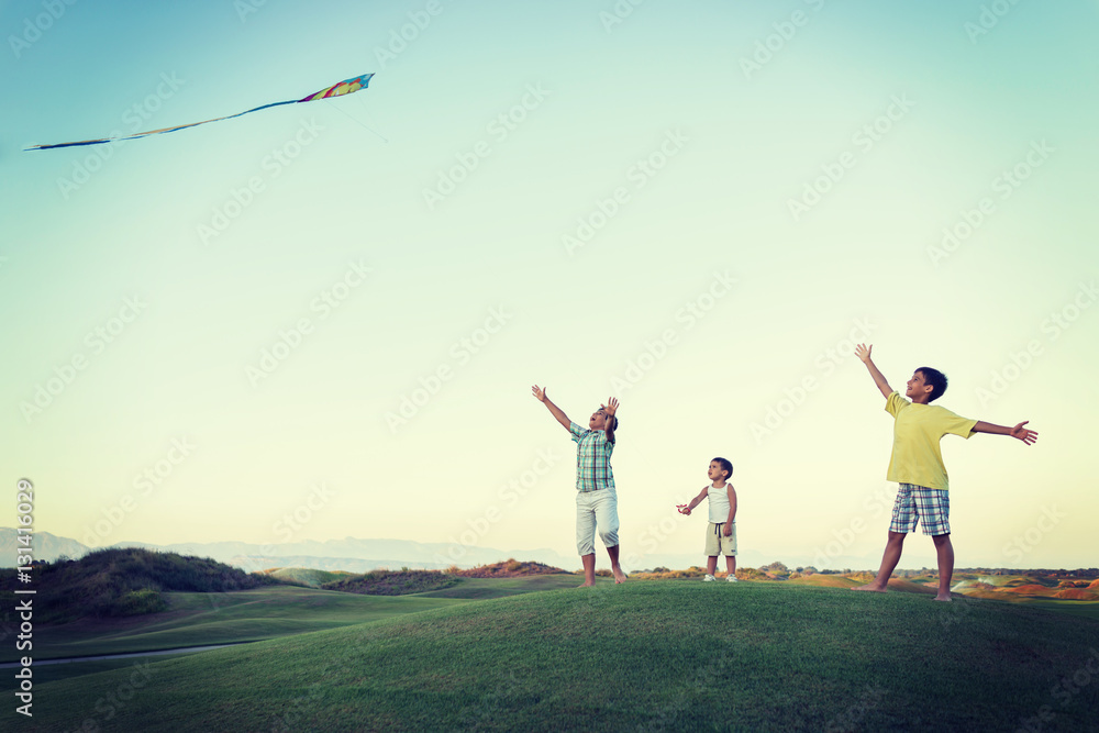 Wall mural little boy on summer vacation having fun and happy time flying k