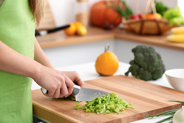 Close up of  woman's hands cooking in the kitchen. Housewife slicing ​​fresh salad. Vegetarian and healthily cooking concept