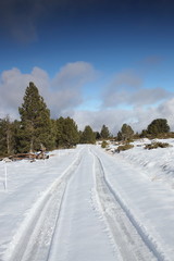 Obraz premium Chemin dans un paysage hivernal, Pyrénées